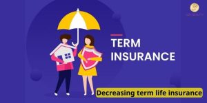 Decreasing term life insurance