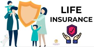 Whole life insurance rates