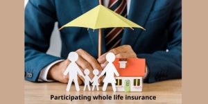 Participating whole life insurance