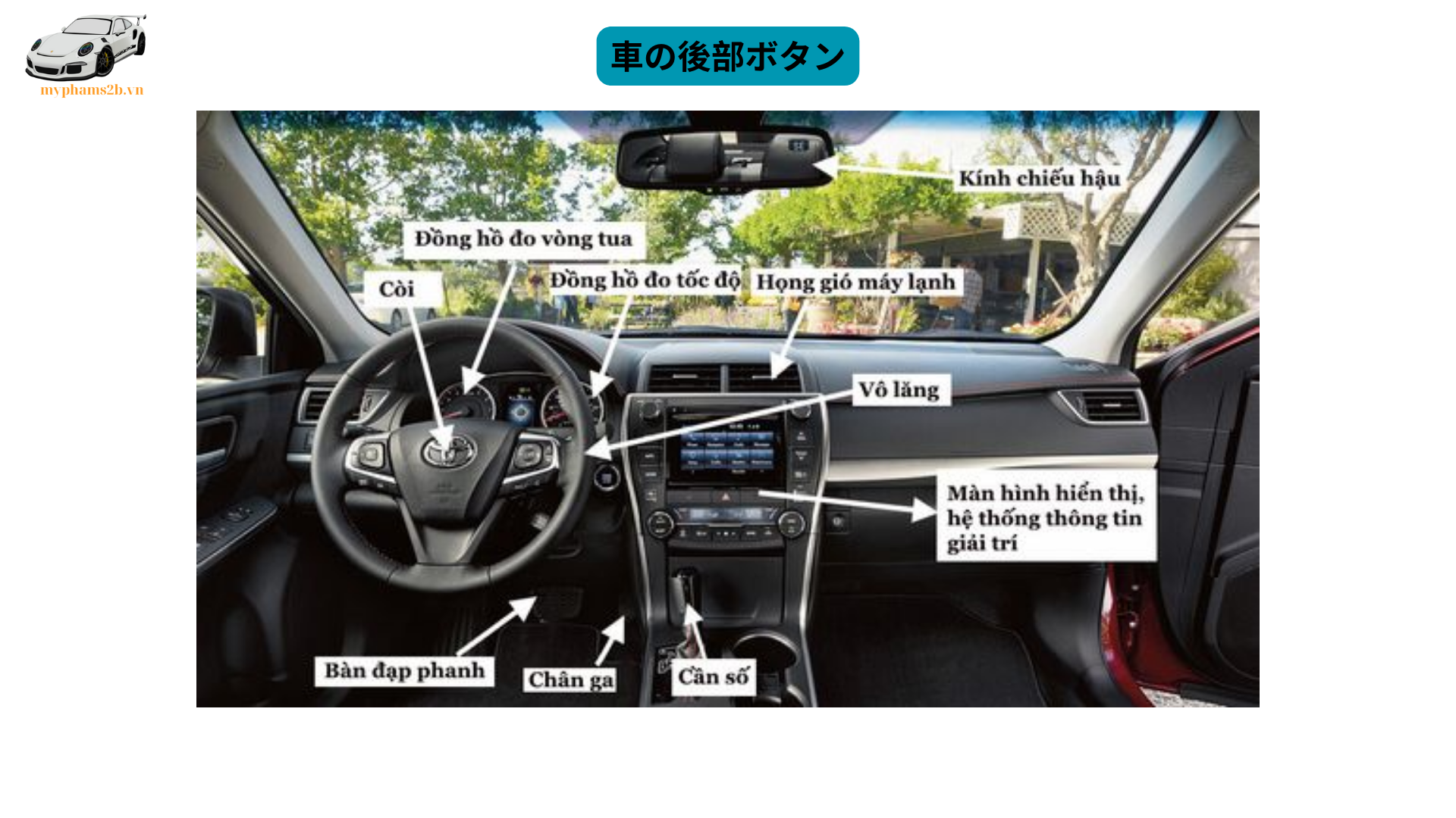 車の後部ボタン (1)